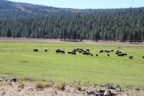 12046 Old Fort Road Klamath Falls OR 97601