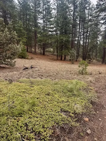 12046 Old Fort Road Klamath Falls OR 97601