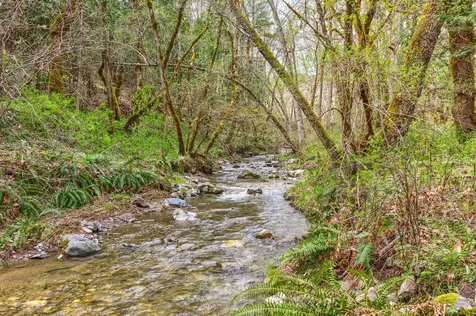 13645 E Evans Creek Road Rogue River OR 97537