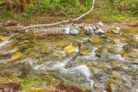 13645 E Evans Creek Road Rogue River OR 97537