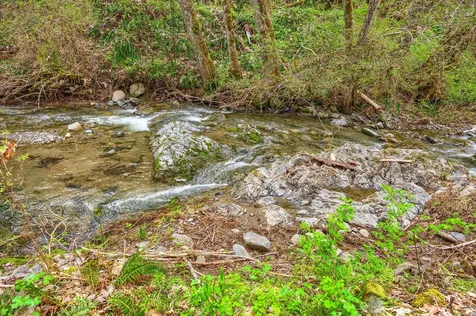 13645 E Evans Creek Road Rogue River OR 97537