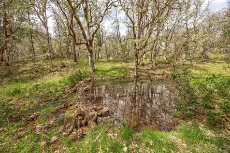 13645 E Evans Creek Road Rogue River OR 97537