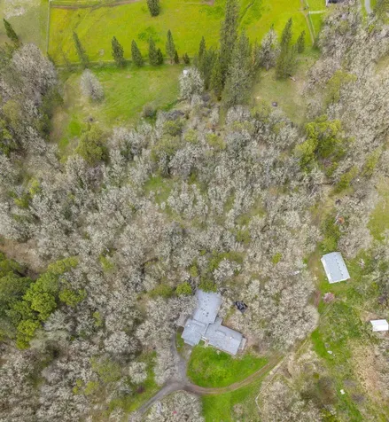 13645 E Evans Creek Road Rogue River OR 97537