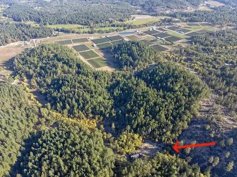 1193 Greenview Drive Cave Junction OR 97523