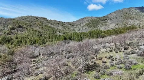 N Applegate Road Grants Pass OR 97527