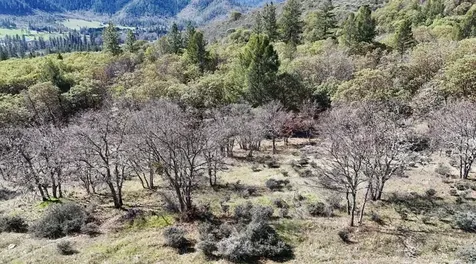N Applegate Road Grants Pass OR 97527