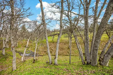 523 Strawberry Lane Ashland OR 97520