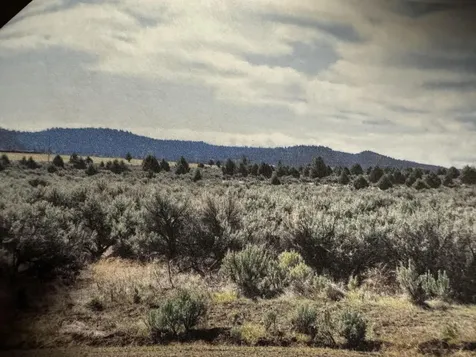 Off Fossil Lake Road Christmas Valley OR 97641