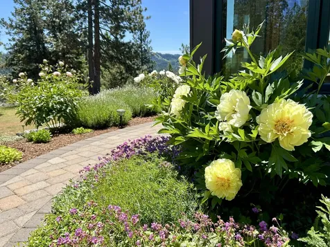 1940 Soda Mountain Road Ashland OR 97520