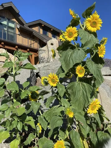 1940 Soda Mountain Road Ashland OR 97520