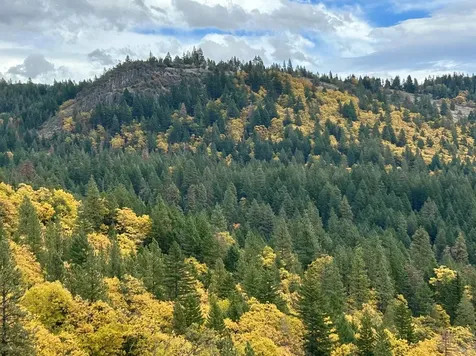 1940 Soda Mountain Road Ashland OR 97520