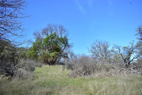 12940 Highway 234 Gold Hill OR 97525