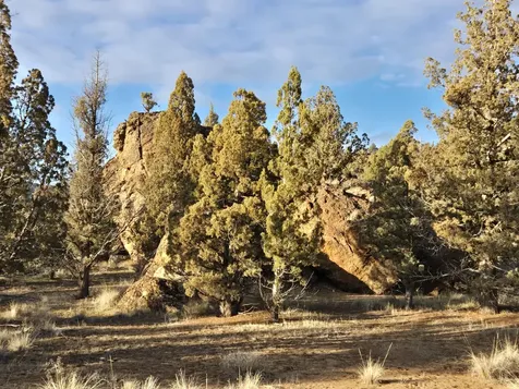 9697 SE Pavati Drive Prineville OR 97754