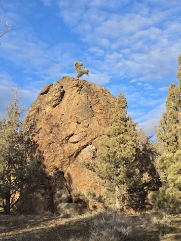 9697 SE Pavati Drive Prineville OR 97754
