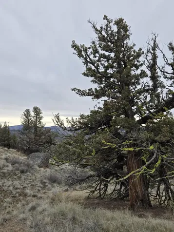 9697 SE Pavati Drive Prineville OR 97754