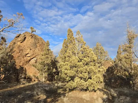 9697 SE Pavati Drive Prineville OR 97754