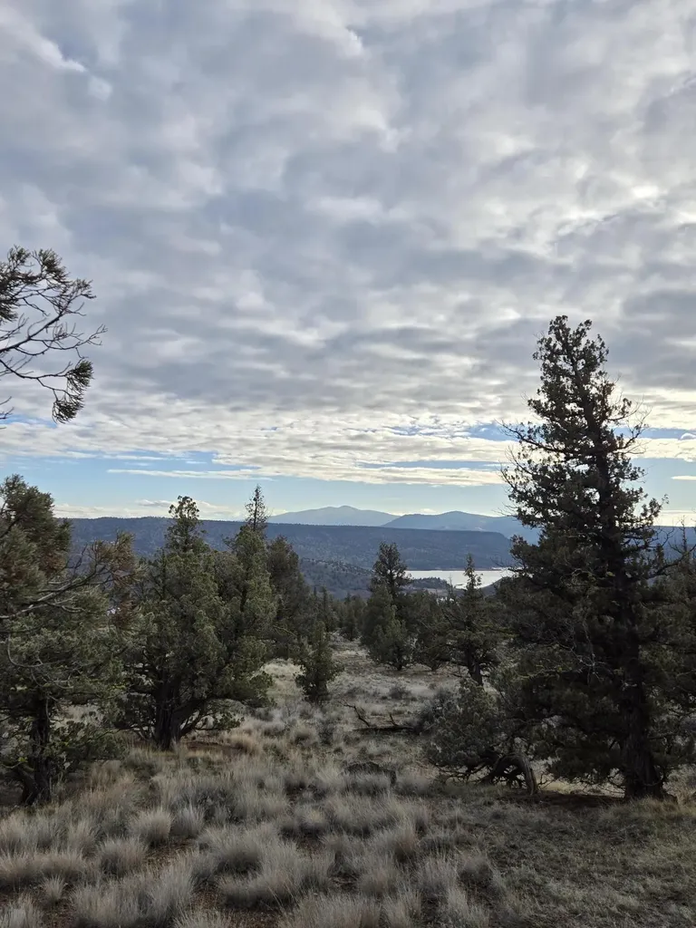10098 SE Pavati Drive Prineville OR 97754