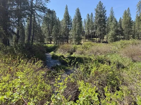 53509 Kokanee Way La Pine OR 97739