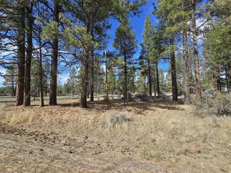 Keno Springs Road Bonanza OR 97623