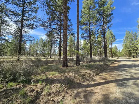 Keno Springs Road Bonanza OR 97623