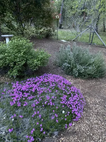 521 Seclusion Loop Grants Pass OR 97526