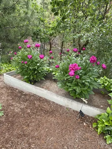521 Seclusion Loop Grants Pass OR 97526