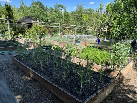 521 Seclusion Loop Grants Pass OR 97526
