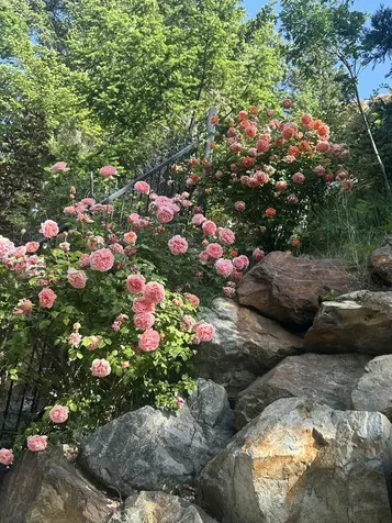 521 Seclusion Loop Grants Pass OR 97526