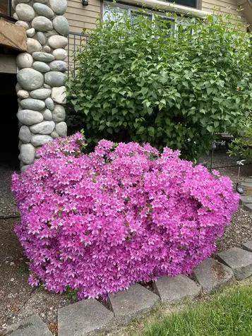521 Seclusion Loop Grants Pass OR 97526