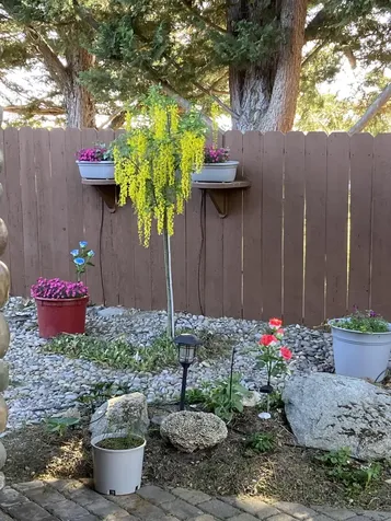 1116 Cashmere Drive Grants Pass OR 97527