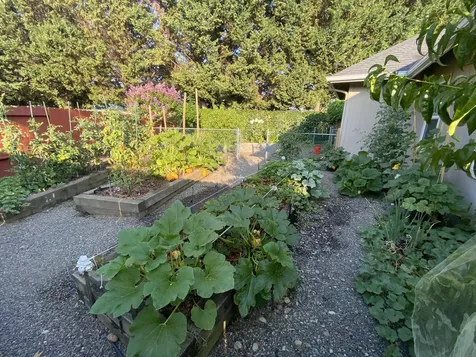 1116 Cashmere Drive Grants Pass OR 97527