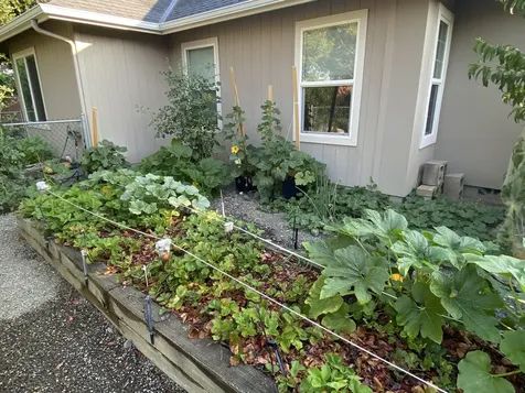 1116 Cashmere Drive Grants Pass OR 97527
