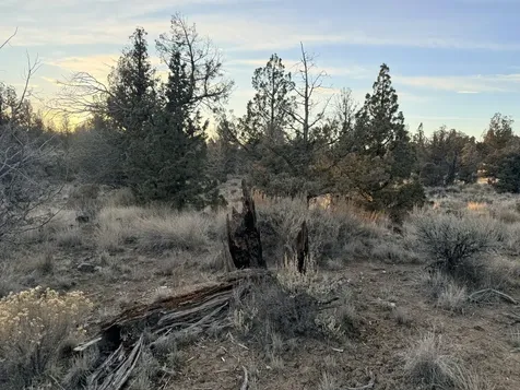 2210 SE Blue Skies Lane Prineville OR 97754