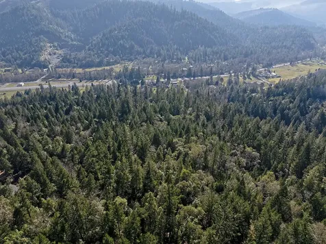 Wilderville OR 97543