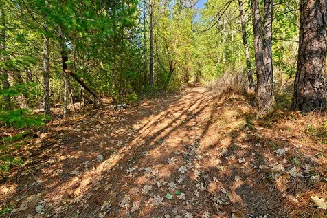 Wilderville OR 97543
