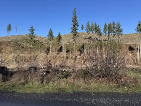 25497 Taylor Park Road SE Lyons OR 97358