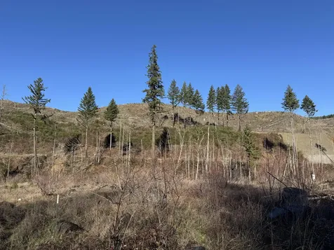 25497 Taylor Park Road SE Lyons OR 97358