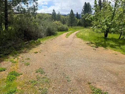 282 Reagor Lane Cave Junction OR 97523