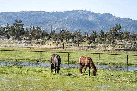 2441 SW Minson Road Powell Butte OR 97753