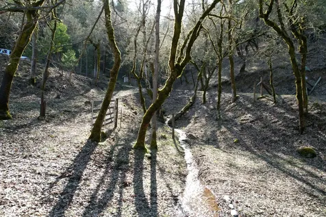 1682 Brown Road Applegate OR 97530