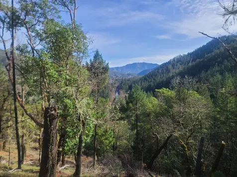 1682 Brown Road Applegate OR 97530
