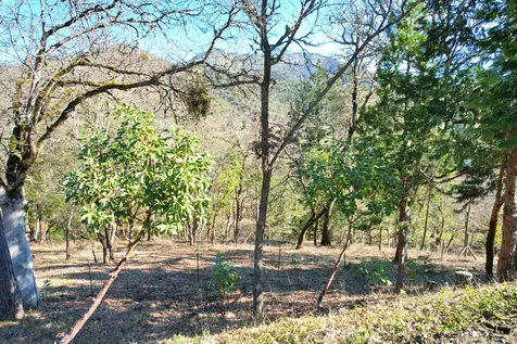 1682 Brown Road Applegate OR 97530