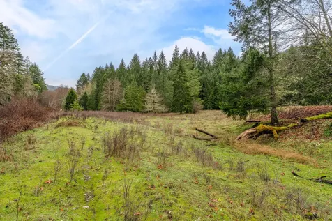 0 Upper Cow Creek Road Azalea OR 97410