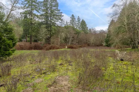 0 Upper Cow Creek Road Azalea OR 97410