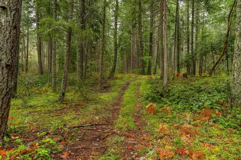 0 Upper Cow Creek Road Azalea OR 97410