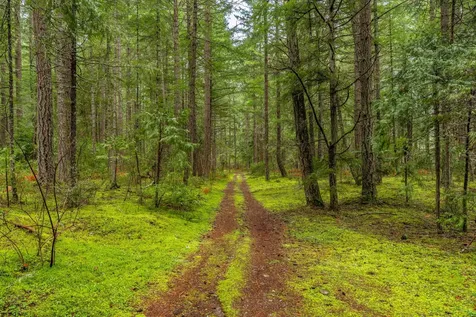 0 Upper Cow Creek Road Azalea OR 97410