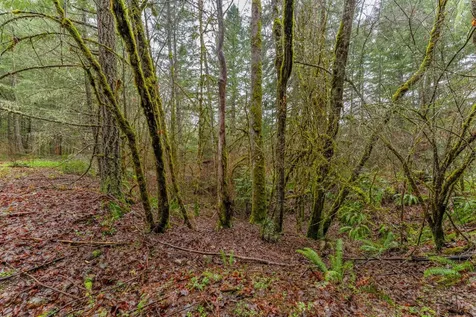 0 Upper Cow Creek Road Azalea OR 97410