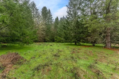 0 Upper Cow Creek Road Azalea OR 97410