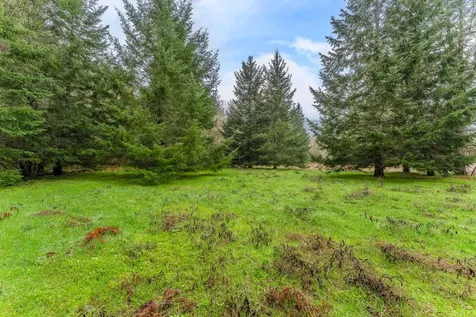 0 Upper Cow Creek Road Azalea OR 97410