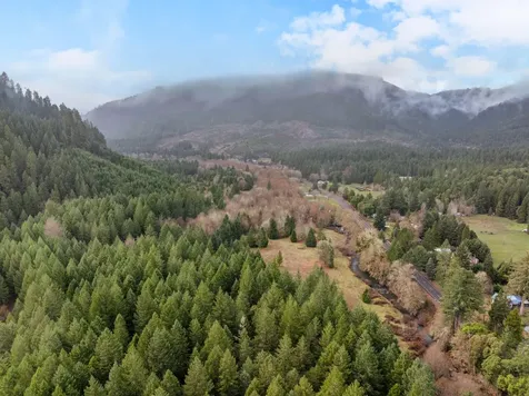 0 Upper Cow Creek Road Azalea OR 97410